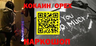 шишки Новодвинск