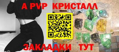 шишки Новодвинск