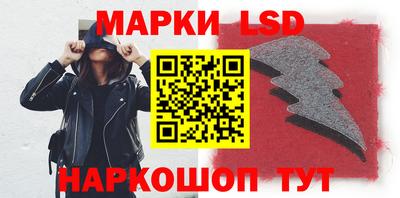 шишки Новодвинск