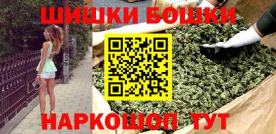 шишки Новодвинск