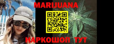 шишки Новодвинск