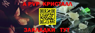 шишки Новодвинск