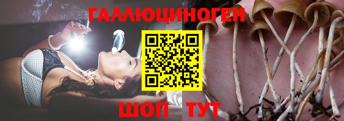 Галлюциногенные грибы Magic Shrooms Азов