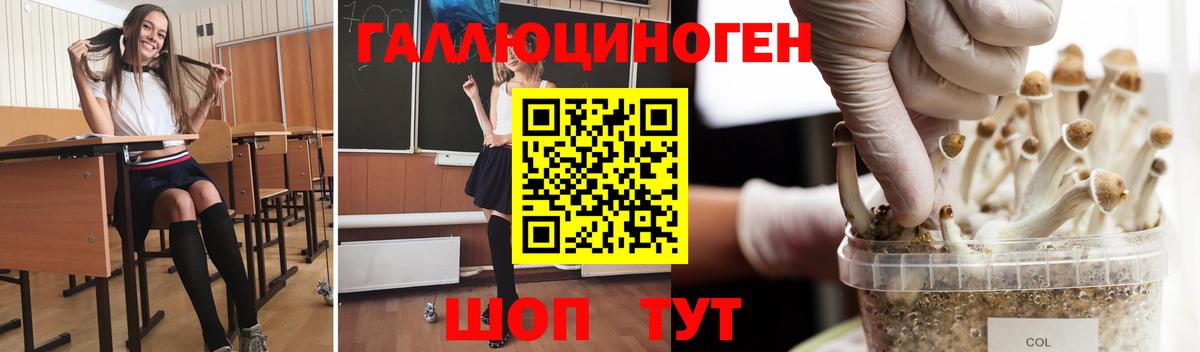 наркота  Галлюциногенные грибы ЛСД  Псилоцибиновые грибы Psilocybe  Вход с VPN  Азов 